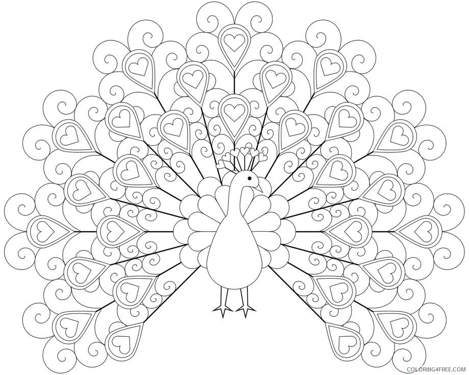peacock coloring pages with love feathers Coloring4free