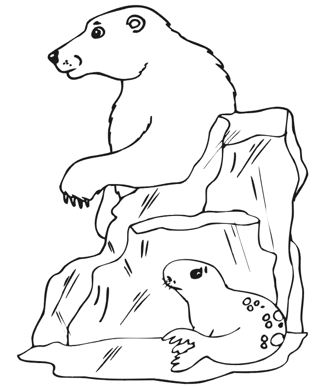 polar bear coloring pages and sea lion Coloring4free