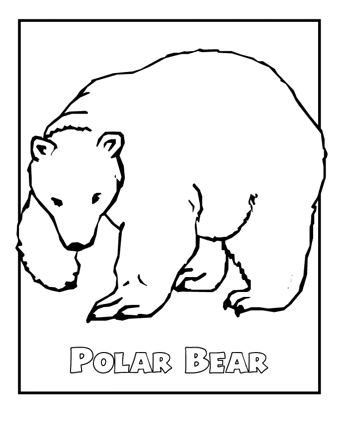 polar bear coloring pages for kids Coloring4free