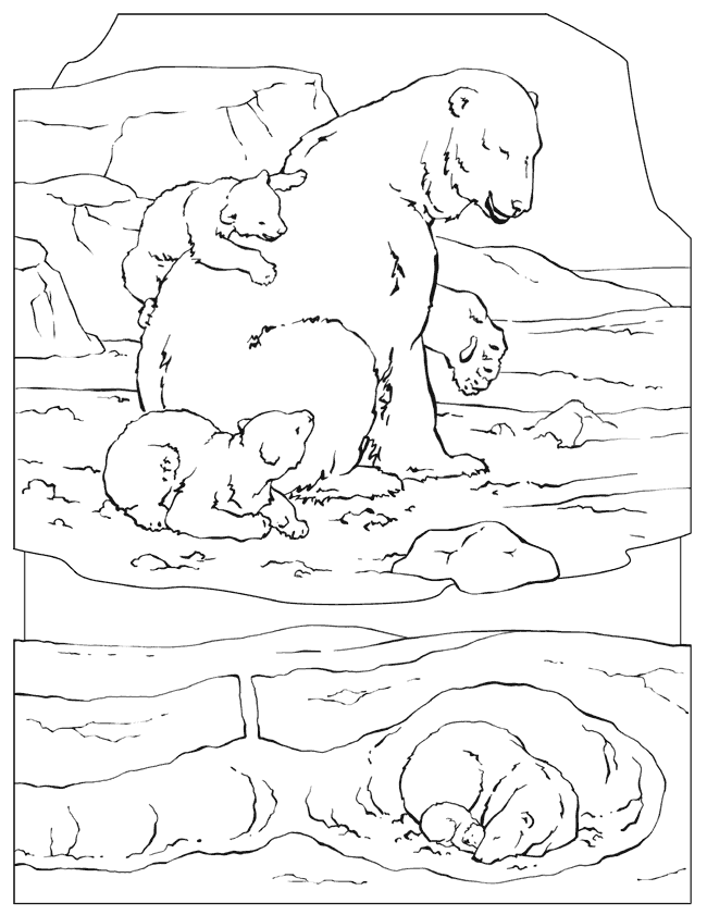 polar bear coloring pages mom and baby Coloring4free