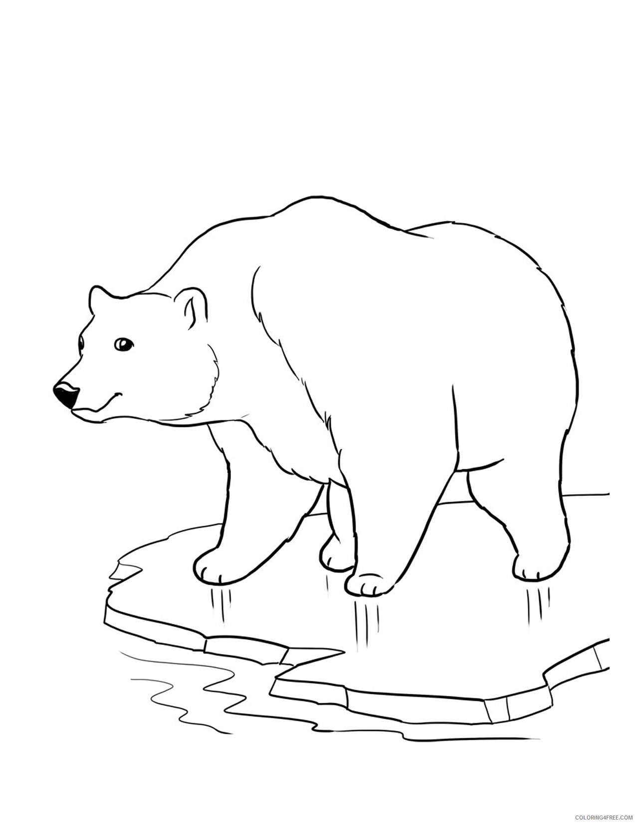 polar bear coloring pages on ice Coloring4free