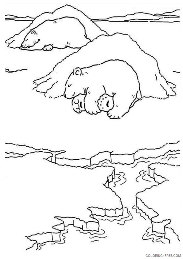polar bear coloring pages sleeping Coloring4free