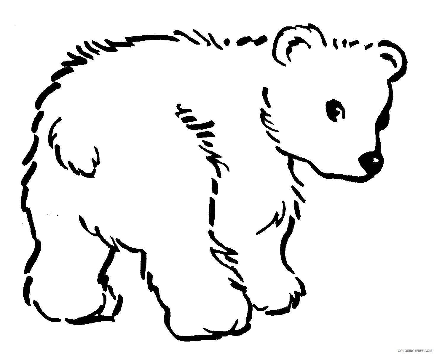 polar bear cub coloring pages Coloring4free