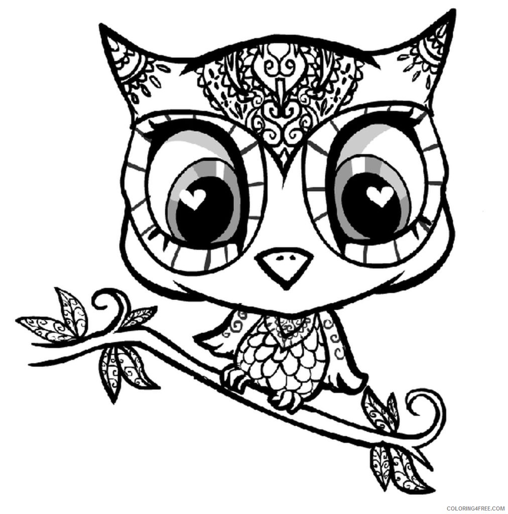 pretty coloring pages little owl Coloring4free