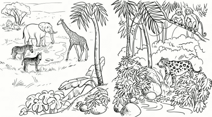 printable amazon rainforest coloring pages Coloring4free