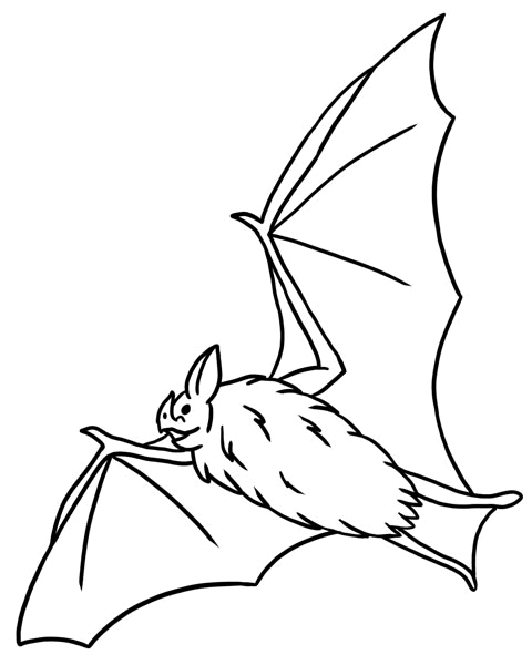 printable bat coloring pages Coloring4free