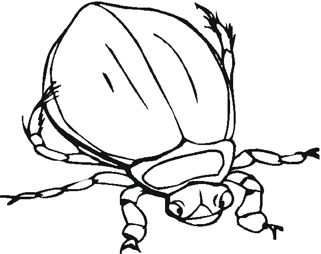 printable bug coloring pages Coloring4free