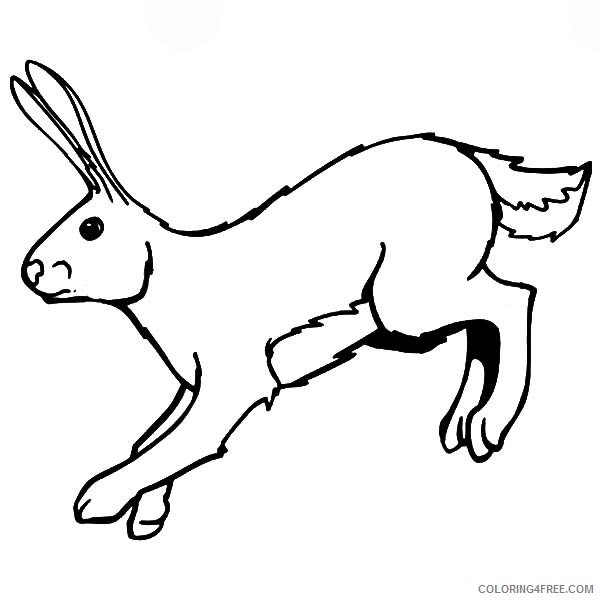 printable bunny coloring pages for kids Coloring4free