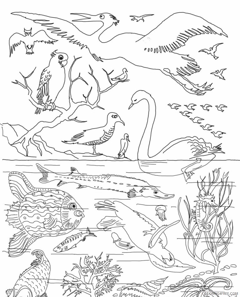 printable creation coloring pages Coloring4free