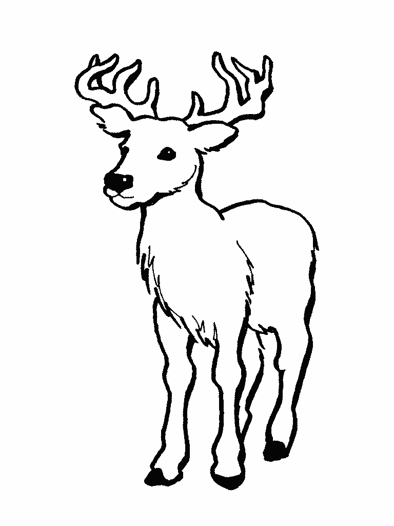 printable deer coloring pages for kids Coloring4free