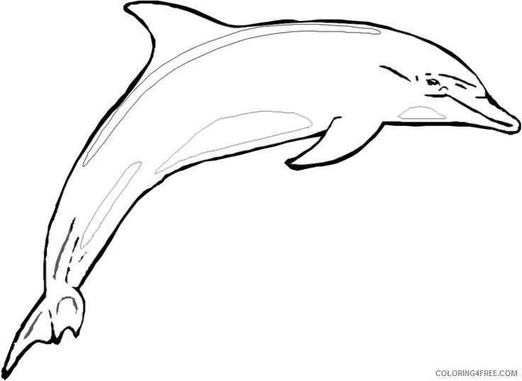 printable dolphin coloring pages Coloring4free