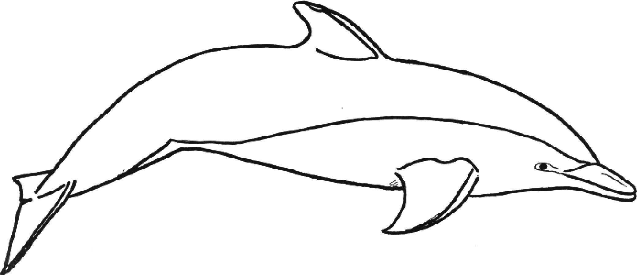 printable dolphin coloring pages for kids Coloring4free
