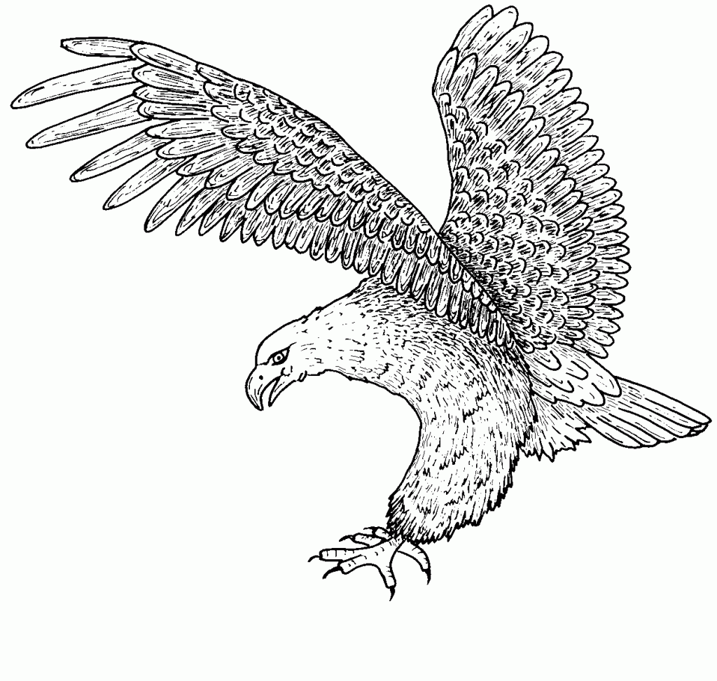 printable eagle coloring pages Coloring4free