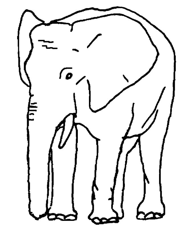 printable elephant coloring pages for kids Coloring4free