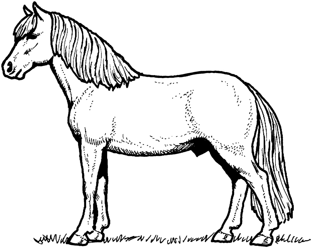 printable horse coloring pages Coloring4free