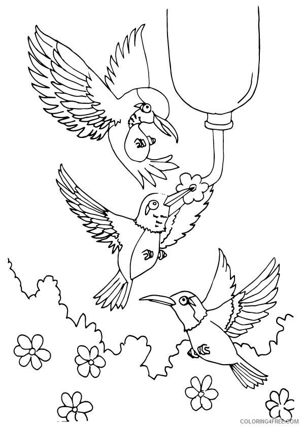 printable hummingbird coloring pages Coloring4free