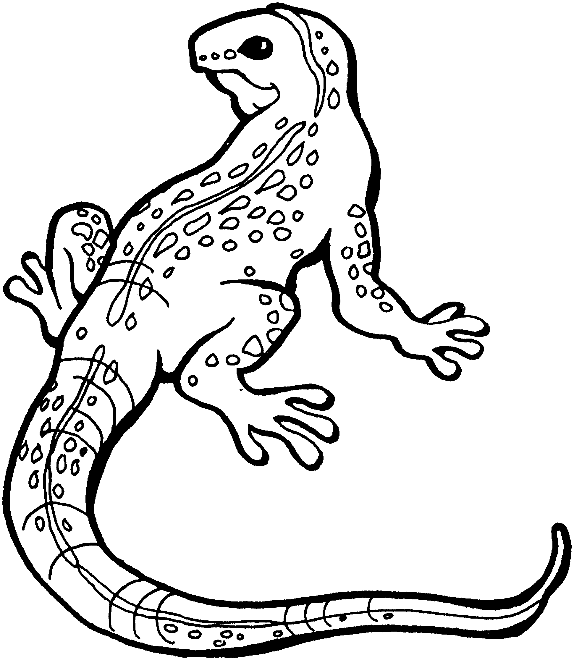 printable lizard coloring pages Coloring4free