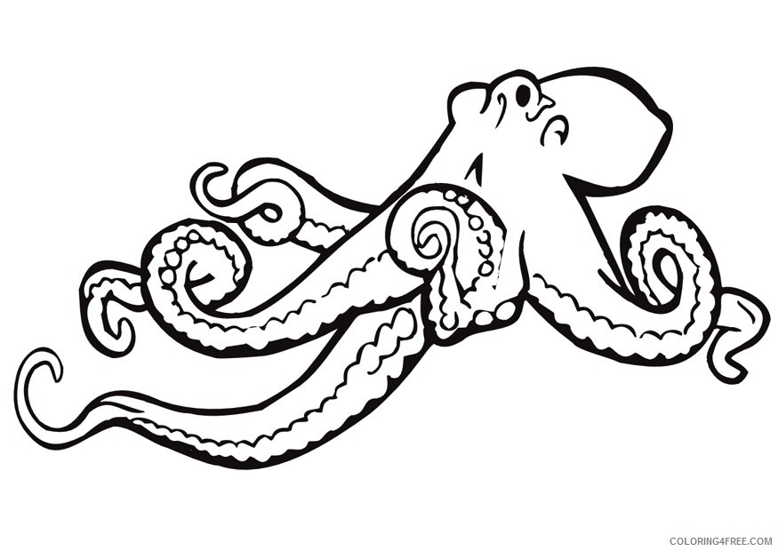 printable octopus coloring pages Coloring4free