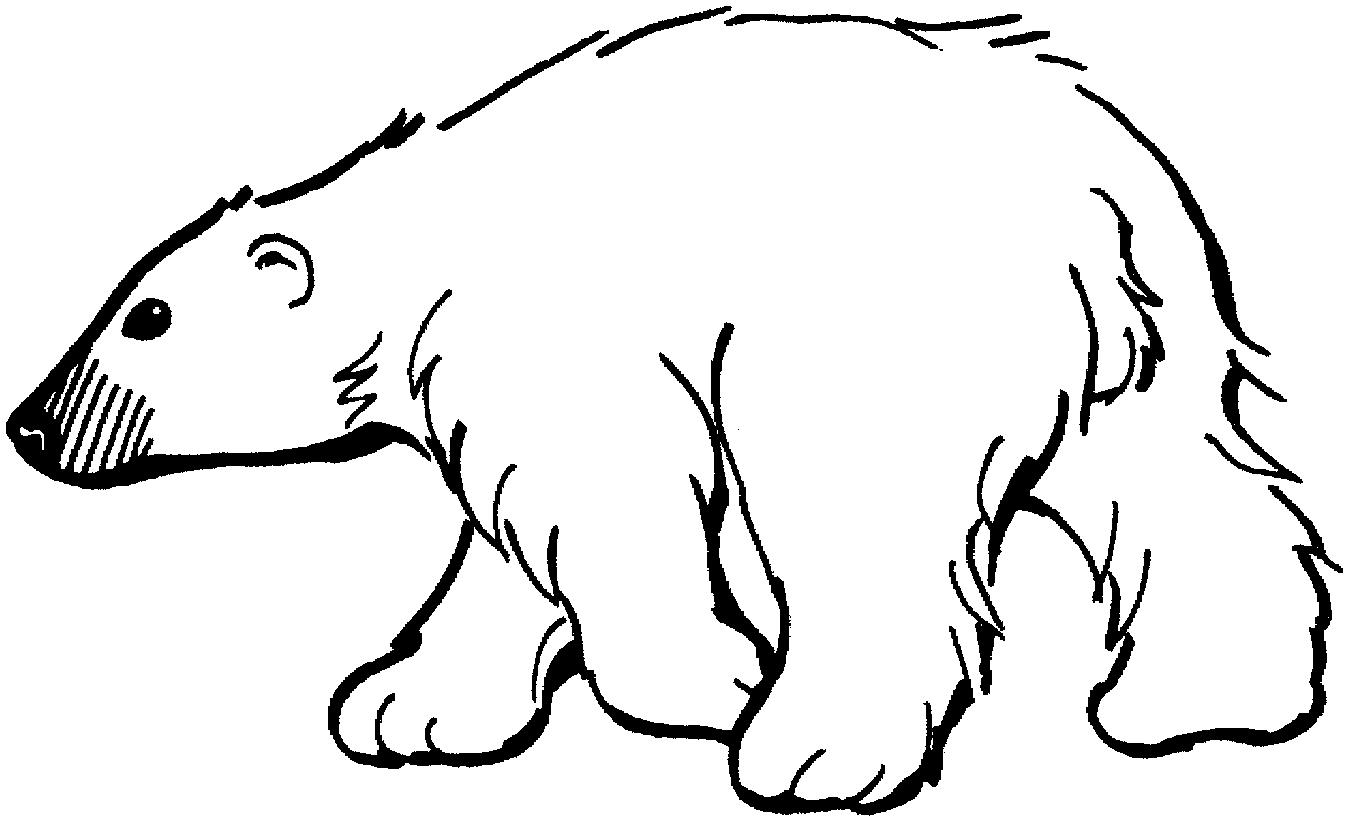printable polar bear coloring pages Coloring4free