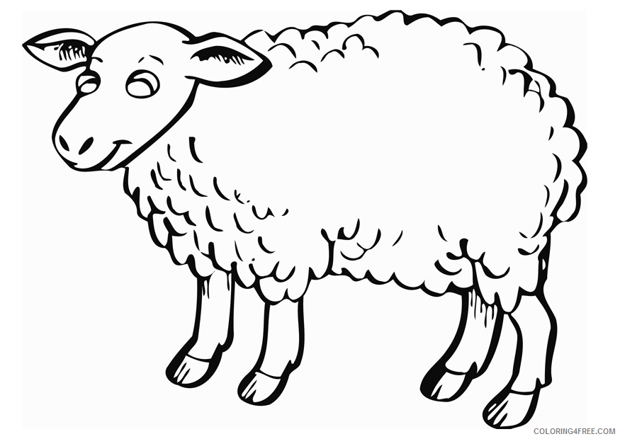 printable sheep coloring pages Coloring4free