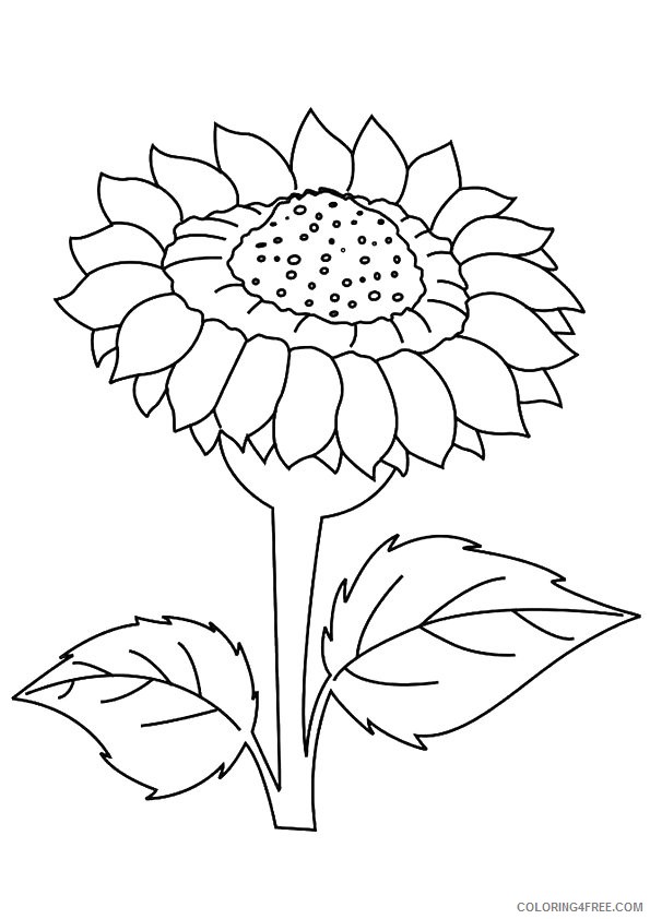 printable sunflower coloring pages for kids Coloring4free