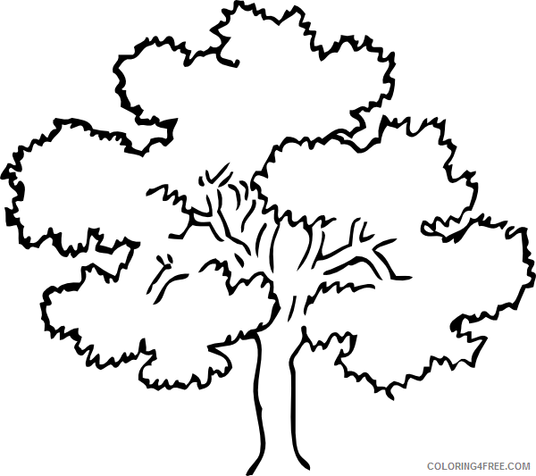 printable tree coloring pages Coloring4free