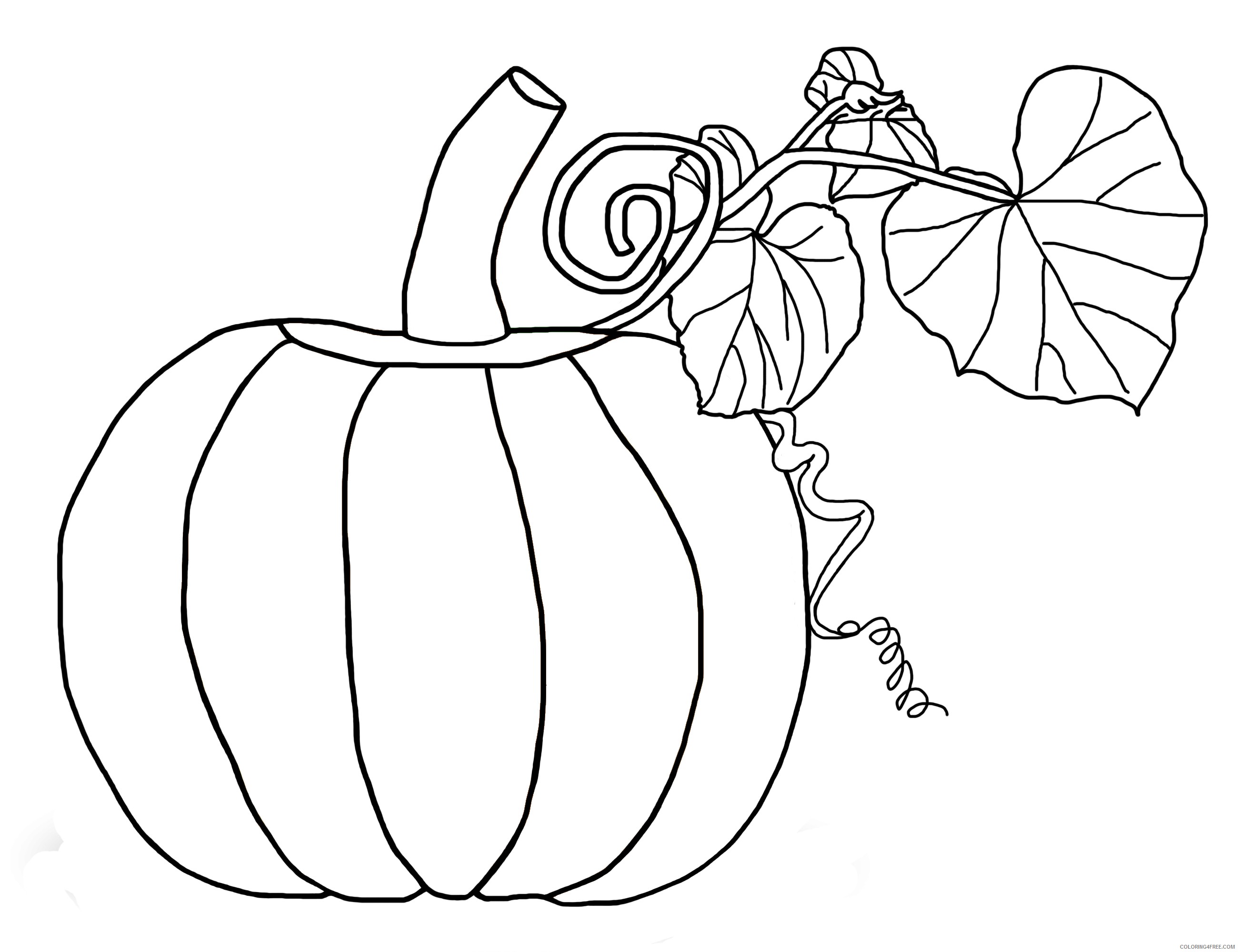pumpkin coloring pages printable Coloring4free