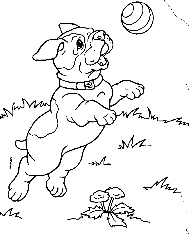 puppies coloring pages bulldog playing ball Coloring4free