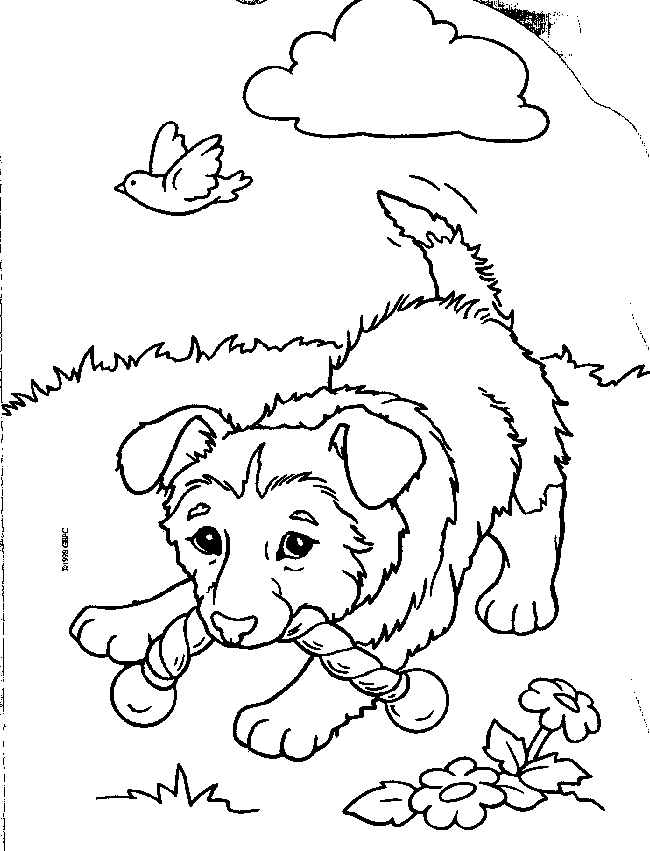 puppies coloring pages playing outside Coloring4free