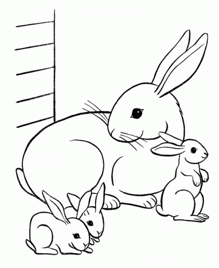 rabbit coloring pages bunnies and mom Coloring4free