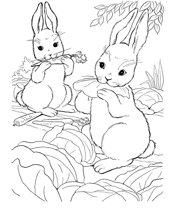 rabbit coloring pages eating vegetables Coloring4free