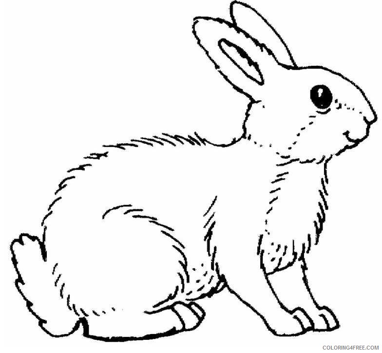 rabbit coloring pages to print Coloring4free