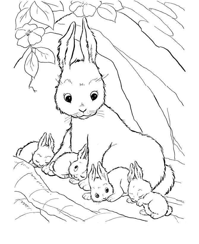 rabbit coloring pages with bunnies Coloring4free