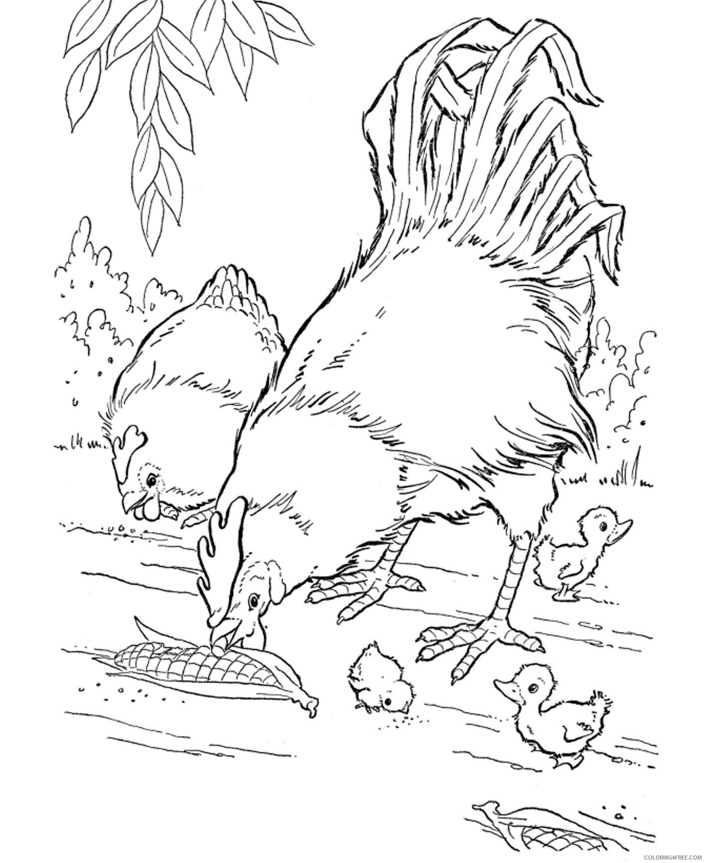 realistic farm animal coloring pages chickens Coloring4free