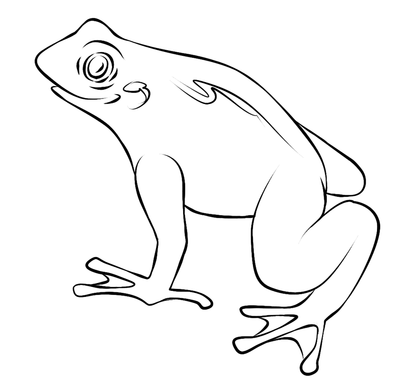 realistic frog coloring pages to print Coloring4free