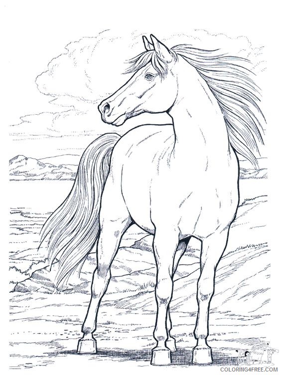 realistic horse coloring pages Coloring4free
