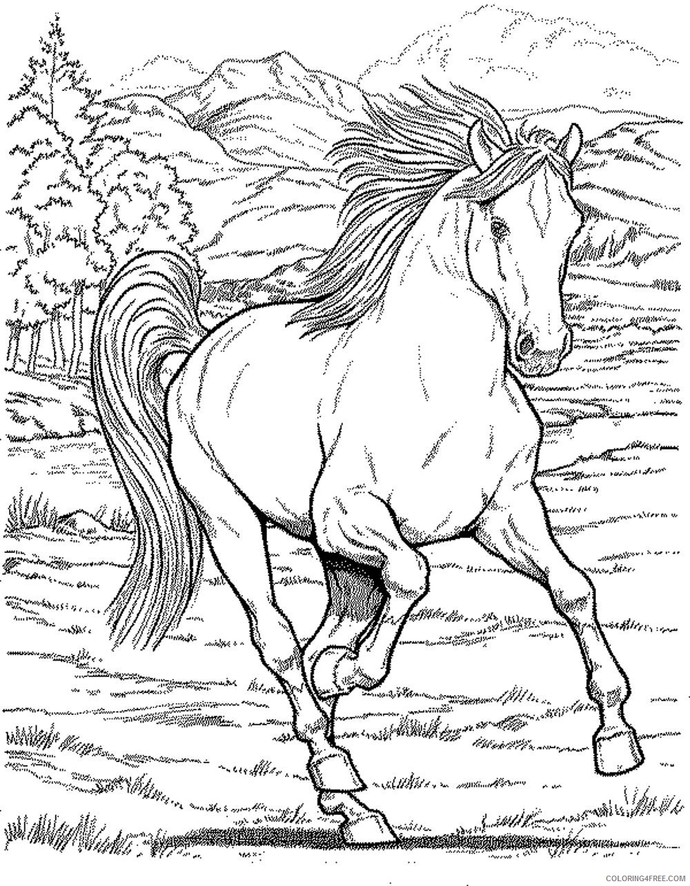 realistic horse coloring pages for adults Coloring4free