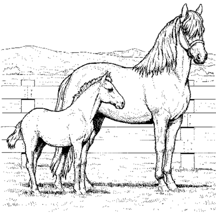 realistic horse coloring pages mom and baby Coloring4free