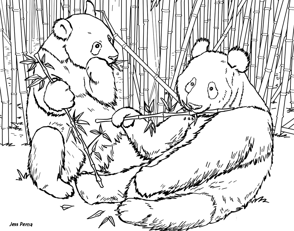 realistic panda coloring pages for adults Coloring4free
