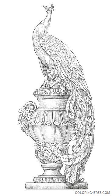 realistic peacock coloring pages for adults Coloring4free