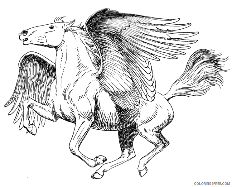 realistic pegasus coloring pages for adults Coloring4free