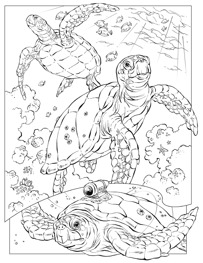 realistic sea turtle coloring pages Coloring4free