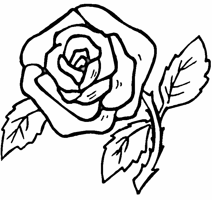 red rose coloring pages printable Coloring4free