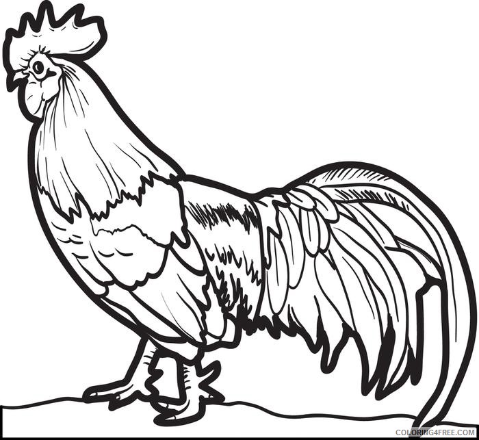 rooster chicken coloring pages Coloring4free