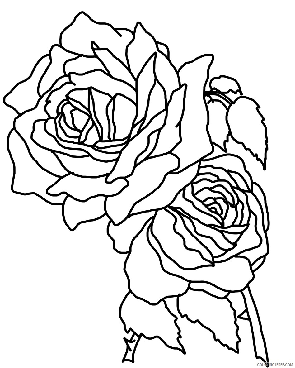 rose coloring pages for girls Coloring4free