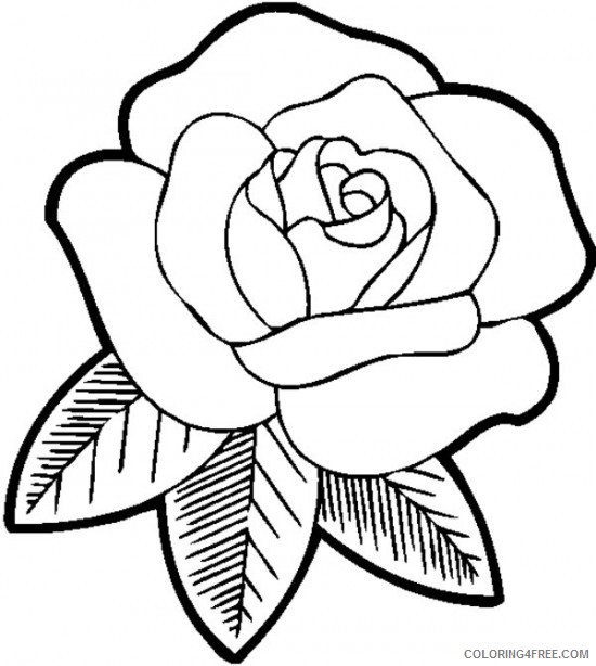 rose coloring pages for preschoolers Coloring4free