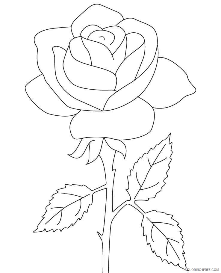 rose coloring pages free printable Coloring4free