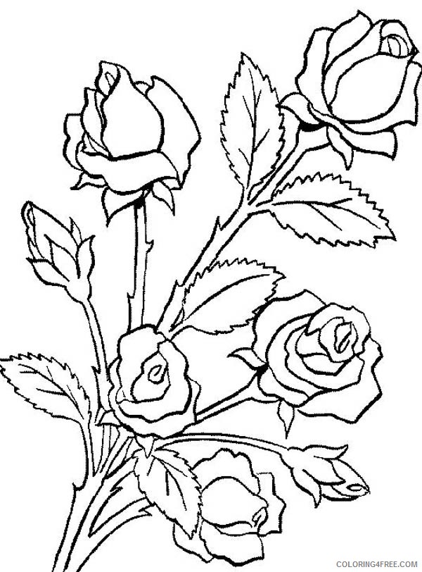 rose coloring pages printable free Coloring4free