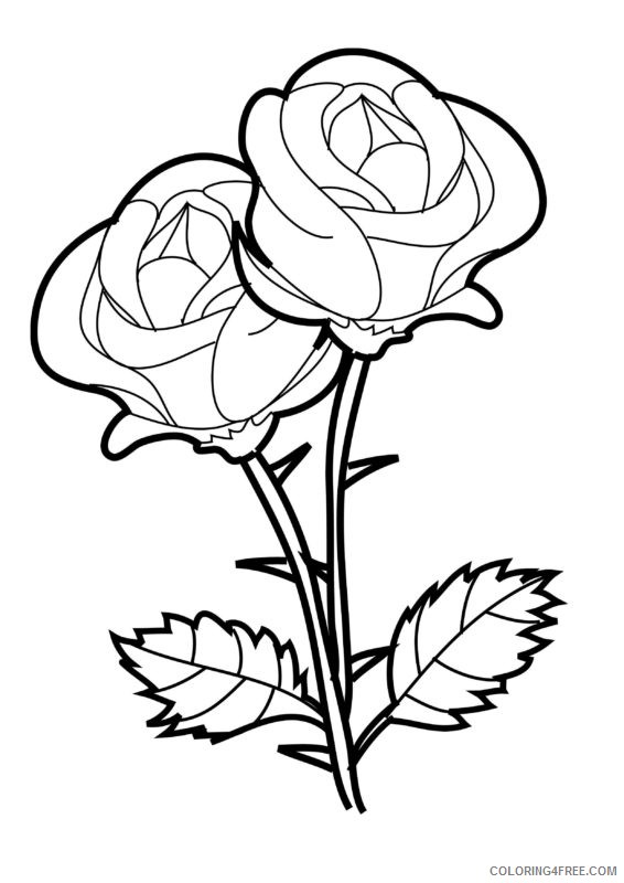 rose coloring pages two roses Coloring4free