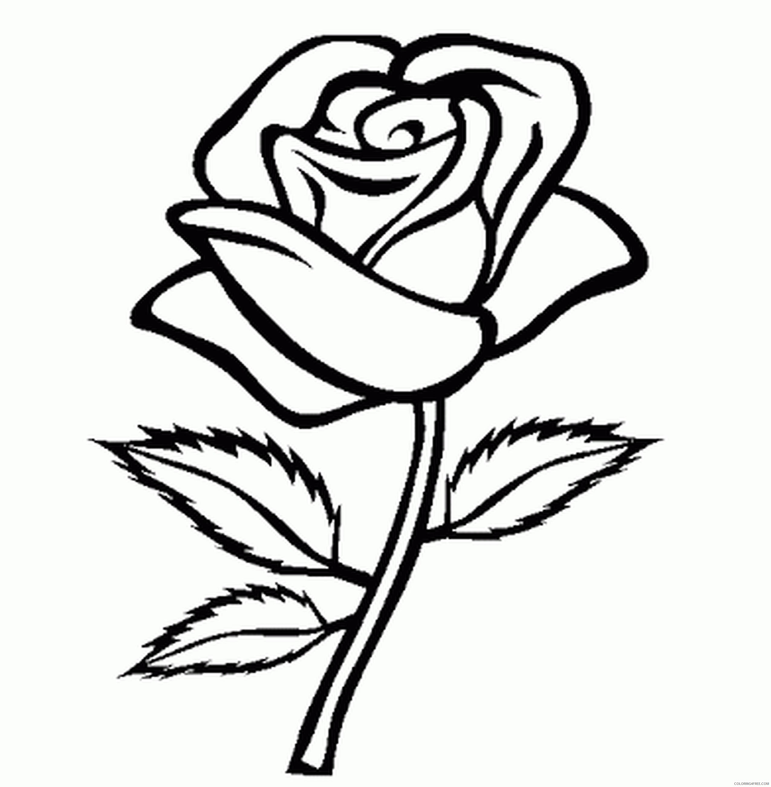 rose flower coloring pages Coloring4free